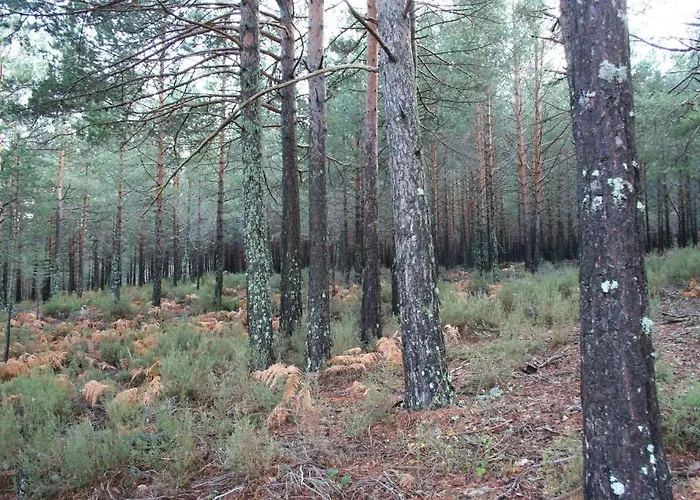 Gæstehus San Martin 2*